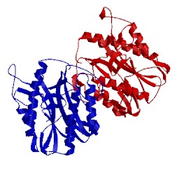 Image of CATH 4km3