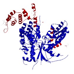 Image of CATH 4kmo