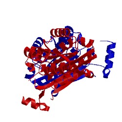 Image of CATH 4kms