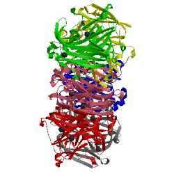 Image of CATH 4kns