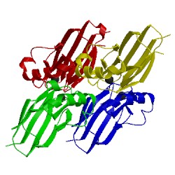 Image of CATH 4ko7
