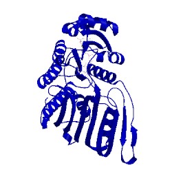 Image of CATH 4koa