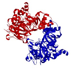 Image of CATH 4kp2
