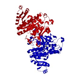 Image of CATH 4kp7