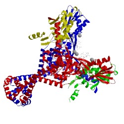 Image of CATH 4kpf