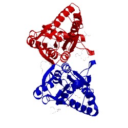 Image of CATH 4kpt
