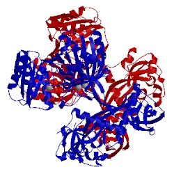 Image of CATH 4kpy