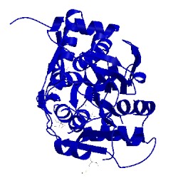 Image of CATH 4kv7