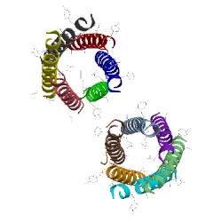 Image of CATH 4kvv