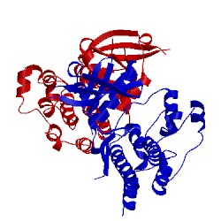Image of CATH 4l01