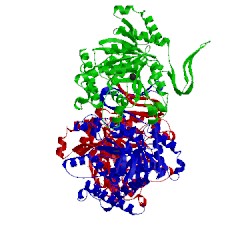 Image of CATH 4l03