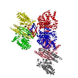 Image of CATH 4l04