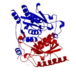 Image of CATH 4l07