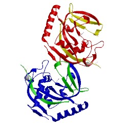 Image of CATH 4l09