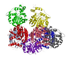 Image of CATH 4l0c