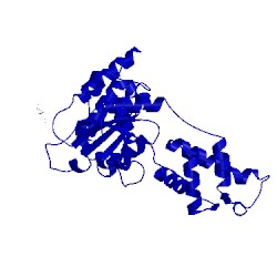 Image of CATH 4l15