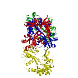 Image of CATH 4l17