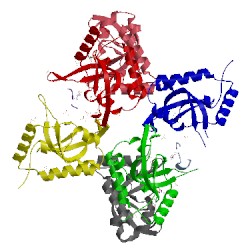 Image of CATH 4l1u