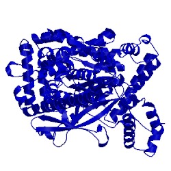 Image of CATH 4l22