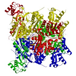 Image of CATH 4l28