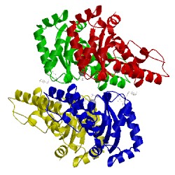Image of CATH 4l2c
