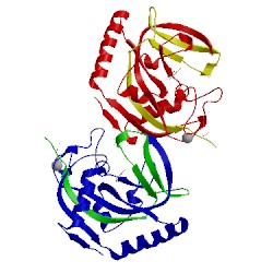 Image of CATH 4l2k