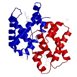 Image of CATH 4l2m