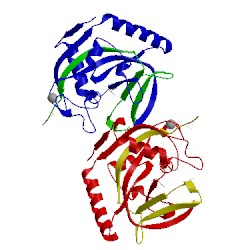 Image of CATH 4l31