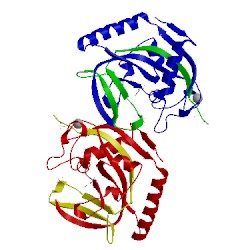Image of CATH 4l34