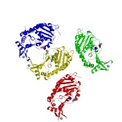 Image of CATH 4l3o