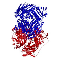 Image of CATH 4l3t
