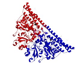Image of CATH 4l3y