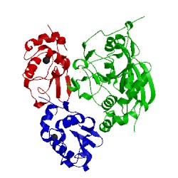 Image of CATH 4l41