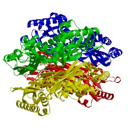 Image of CATH 4l4q