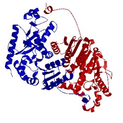 Image of CATH 4l4r