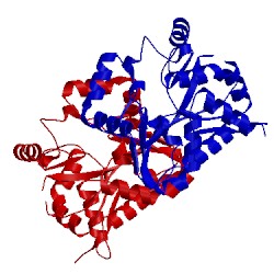 Image of CATH 4l4y