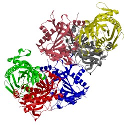 Image of CATH 4l5a