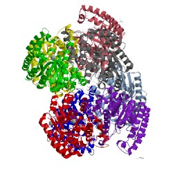 Image of CATH 4l6d