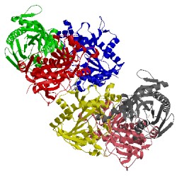 Image of CATH 4l6i