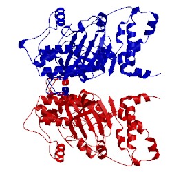 Image of CATH 4l6q