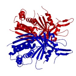 Image of CATH 4l6u