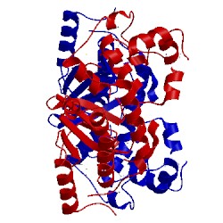 Image of CATH 4l7a