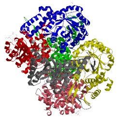 Image of CATH 4l80