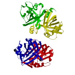 Image of CATH 4l82