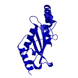 Image of CATH 4l83