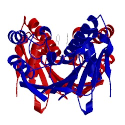 Image of CATH 4l93