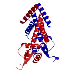 Image of CATH 4l9n