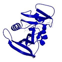 Image of CATH 4lae