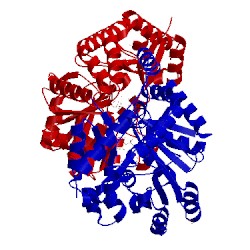 Image of CATH 4lc3
