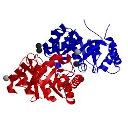 Image of CATH 4lc8